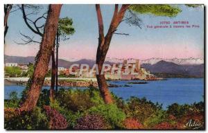 Old Postcard Antibes Vue Generale A Travers les Pins