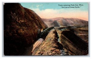 Train Entering Fish Cut Union Pacific Railroad Wyoming WY UNP DB Postcard P20