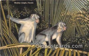Florida, USA Monkey Jungle 1945 