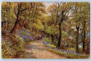 Clovelly Devon England Postcard The Hobby Drive c1910 Antique Unposted