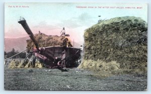 HAMILTON, MT Montana~ Farmers THRESHING GRAIN Bitter Root Valley c1910s Postcard 