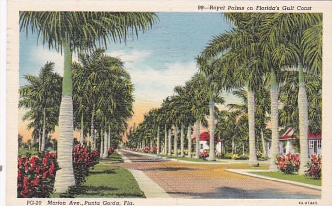 Florida Punta Gorda Royal Palms Along Marion Avenue 1941 Curteich