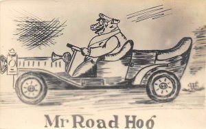 Mr Road Hog Pig Unused 