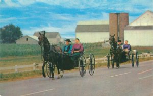 Pennsylvania Amish Courting Buggies with Courting Couples Chrome Postcard Unused