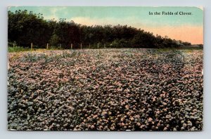 Fields Clover Antique Postcard PM Pimento IN Indiana Cancel WOB Note DB 1c Stamp 