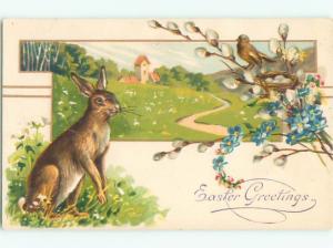 Divided-Back EASTER BUNNY RABBIT SCENE Cute Postcard AA1150