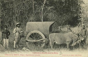 indochina, Vietnam, Charrette Bœufs chez les Mois, Bullock Cart (1910s) Postcard