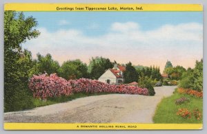 Linen~Greetings From Tippecanoe Lake IN~A Romantic Rolling Rural Road~Vintage PC