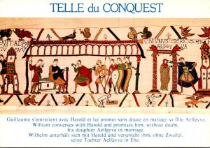 France Bayeux Tapestry Telle du Conquest