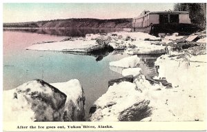 After the Ice Goes Out Yukon River Alaska Postcard