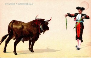 Bullfighting Citando A Banderillas