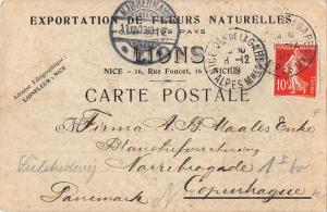 BR73724 exportation de fleurs naturelles lions nice france postcard