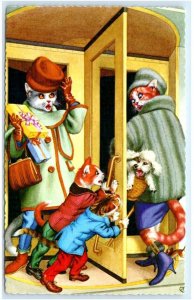 Anthropomorphic MAINZER DRESSED CATS Kittens REVOLVING DOOR #4737 Spain Postcard