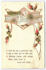 A Birthday Joyous With Delight Wishes Duck In The River Landscaped Postcard