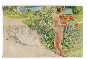 3048061 Nude Lady Flowers by LARSSON vintage ART NOUVEAU PC