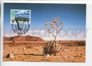 450767 UNITED NATIONS WIEN 1991 maximum card stamp Namibia desert cacti