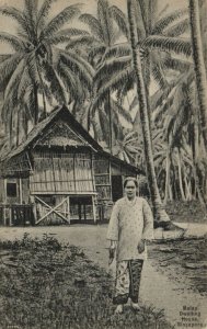 PC CPA SINGAPORE, MALAY DWELLING HOUSE, VINTAGE POSTCARD (b12003)