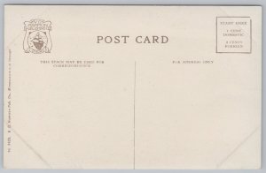 State View~Germania Building @ St Paul Minnesota~Vintage Postcard