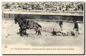 Old Postcard Bullfight bull Bullfight causes after his death by train mules