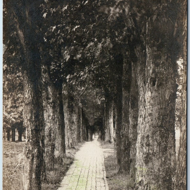 c1910s Champaign IL Lovers Lane RPPC University of ILL Daniel St Real Photo A258