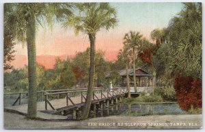 Vintage Bridge at Sulphur Springs Tampa Florida c1910 Postcard