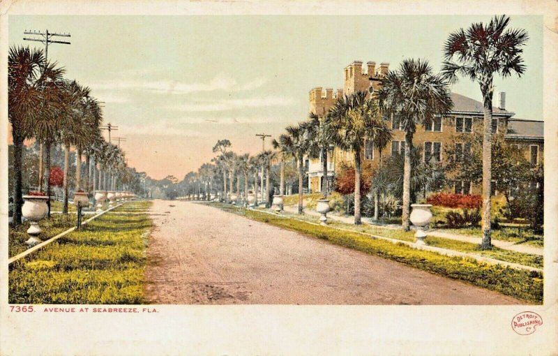 SEABREEZE DAYTONA BEACH FLORIDA~PALM TREE LINED AVENUE~1910 PHOSTINT POSTCARD