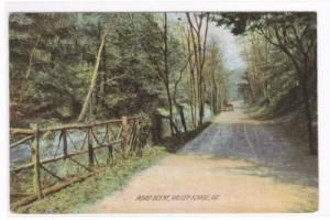 Road Scene Valley Forge Pennsylvania 1910c postcard