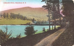 Lakeside Drive in Stamford, New York