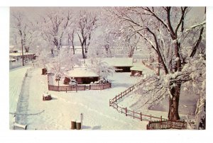 CO - Pueblo. Happy Time Ranch in City Park, Winter