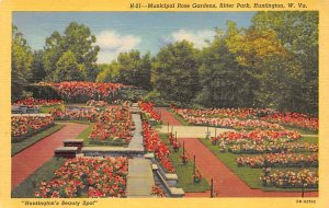 Municipal Rose Gardens, Ritter Park, Huntington, WV
