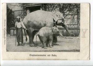 262979 GERMANY Hamburg elephant trainer Carl Hagenbeck ZOO OLD