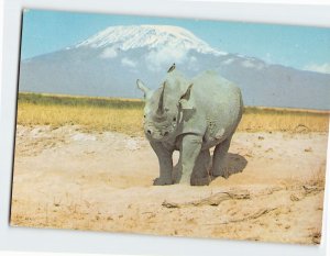 M-171320 Rhino at Mt Kilimanjaro Tanzania