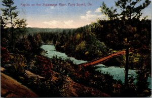 Vtg Rapids on the Shawanaga River Parry Sound Ontario Canada Antique Postcard