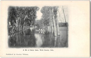 Seeley Lake, Weld County, Colorado 1900s Greeley Tribune Antique Postcard