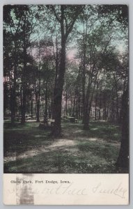 Tree Surrounded Picnic Tables In Olson Park Of Fort Dodge Iowa~PM 1908 Postcard