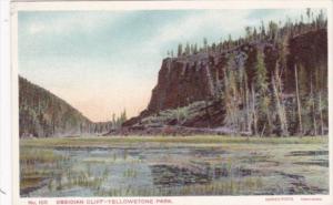 Obsidian Cliff Yellowstone National Park
