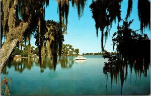 Cabin Cruiser Ride Lake Tarpon AL Anderson Park Spings Florida FL Postcard VTG 