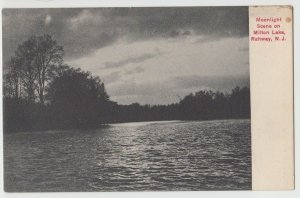 c1910 RAHWAY New Jersey NJ Postcard MOONLIGHT Milton Lake Trees