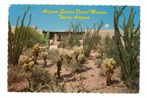 AZ - Tucson. Arizona-Sonora Desert Museum   (continental size)