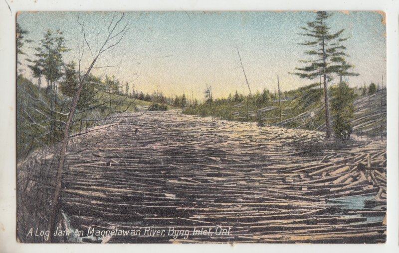 P2739 1907 postcard a log jam on magnelawan river byng inlet ontario canada