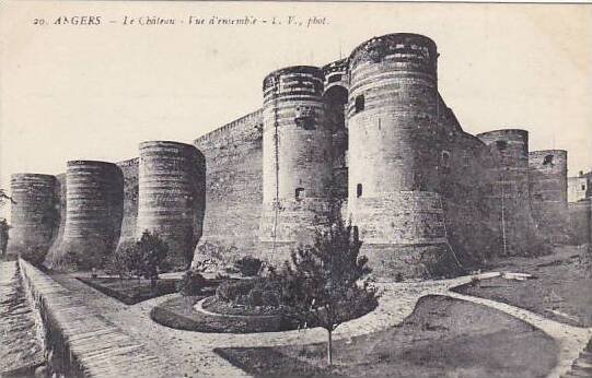 France Angers Le Chateau Vue d'ensemble