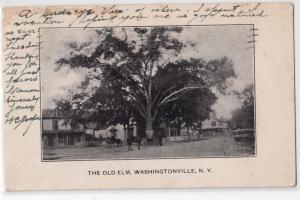 Old Elm, Washingtonville NY