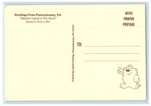 Greetings From Punxsutawney PA, The Weather Capital Of The World Postcard 