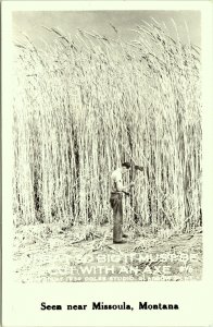 RPPC Wheat So Big; Cut With Axe Exaggeration Missoula Montana Photo Postcard