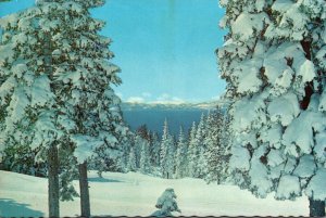 California North Lake Tahoe In Winter