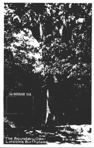 Kentucky Harrodsburg Lincoln Birthplace The Boundary Oak Real Photo