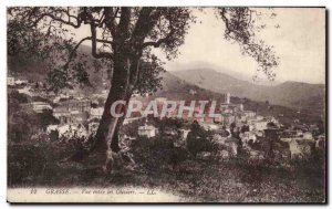 Grasse - View between Oliviers - Old Postcard