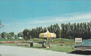 Iowa Shenandoah This Show Garden Operated By The Henry Field Seed &  N...