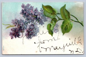 J94/ Mayville North Dakota Postcard c1910 Greetings from Mayville ND 354