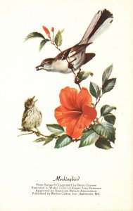 Vintage Postcard Mockingbird From Series 6 Originated By Betty Games Work Of Art